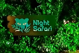 2025暑假必去！新加坡夜間動物園：在星光下與自然對話