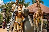 【泰國野趣雙園記】綠山動物園 + 芭堤雅大象村:萌獸互動 + 雨林奇遇,帶娃承包暑期動物狂歡!