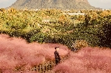 濟州島之秋|漢拿山賞秋全攻略