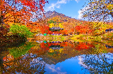 2025🍁【內藏山楓葉季｜跟團解鎖韓國秋日限定浪漫，一站式打卡全攻略】🍁