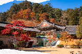 2025🍁【韓國五臺山國立公園賞楓指南|漫步《鬼怪》取景地,解鎖秋日限定浪漫】🍁