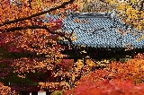 2025逃離首爾！探秘韓國必去私藏級楓景秘境