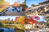 2025 韓國紅葉預測:10 月尾紅葉全盛期來襲!