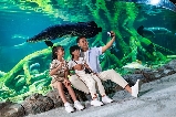 珠海長隆飛船樂園入園常見問題全解析