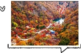韓國內藏山：亞洲十大賞楓地，秋日浪漫之旅