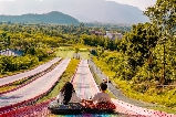 佛山南丹山森林王國:夏日避暑秘境,解鎖森系狂歡指南