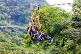 逃離酷暑！佛山南丹山森林王國，25℃的夏日烏托邦
