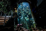 暑假必打卡！吉隆坡水族館一日沈浸體驗指南