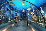 順德南宏海洋公園全攻略:夏日遛娃、親子探秘好去處