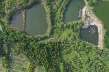 佛山夏季九道谷漂流全攻略：探秘原始生態度假樂園