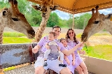 芭堤雅動物王國奇遇記:三大動物園暢玩全攻略