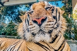 親子遊 | 芭堤雅寶藏動物園攻略🐒