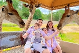 暑假遛娃天花板!華欣野生動物園親子趣玩攻略