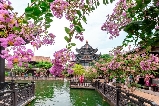 廣州隱藏款古風秘境｜余蔭山房拍照 + 逛園全攻略🍃