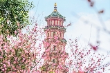 廣州蓮花山旅遊區遊玩全攻略，一文在手暢玩無憂！