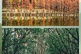 佛山三水森林公園交通全攻略：港澳及珠三角直達天然氧吧