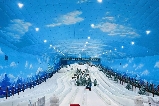 2025深圳滑雪場推薦——阿爾卑斯冰雪世界，夏日避暑好去處