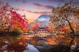 2025年內藏山賞楓攻略：韓國秋日的紅葉秘境之旅