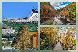 2025年韓國五臺山:秋日紅葉與禪意交織的秘境之旅