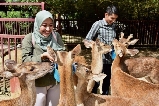 2025蘭卡威野生動物園親子遊玩全攻略，帶娃必看！