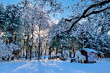 南怡島冬天：在冰雪仙境中翺翔
