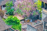 第一次去東莞‼️請直接復製這條東莞一日遊路線