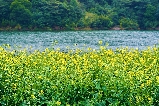 廣州石門國家森林公園四季遊玩攻略