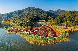 廣州從化值得N刷的寶藏公園——石門國家森林公園