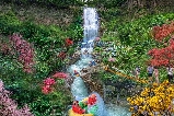 2025清遠筆架山六大必玩項目！高空飛索+叢林滑道+親子闖關全攻略