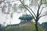韓國9月水原一日遊：華西門光影盛宴與古城初探