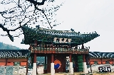 韓國水原1日遊：長安公園互動狂歡與古城全景