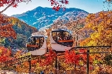 2025最新韓國賞楓攻略(最佳賞楓時間+賞楓必訪景點