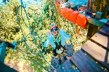 布吉飛索新體驗!Skyline Adventure 帶你穿梭普吉島叢林