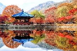 楓葉 | 到韓國內藏山，看漫山紅葉！（附預測圖）