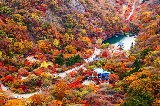 2025韓國必去賞楓勝地，性價比賊高，簽證輕松拿下！（附賞楓預測圖）