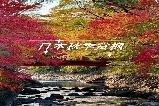 2025日本賞楓必去5大秘境：伊豆半島溫泉紅葉自由行攻略