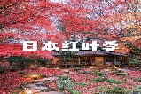 2025日本關西賞楓終極攻略：比叡山延歷寺×近江八幡運河×教林坊夜楓，三大必打卡勝地一日巡禮！