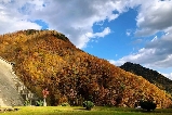2025日本紅葉開始的地:の北海道賞楓