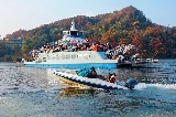 2025年韓國南怡島遊玩探索攻略