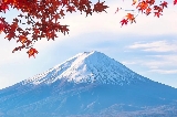 一定要在楓葉季去趟日本,盤點日本紅楓打卡地