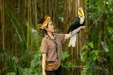 探秘布吉島白鳥主題公園,與靈動飛鳥共赴自然之約