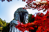 超全日本都道府縣的紅葉絕景地大盤點~(關東地區)-