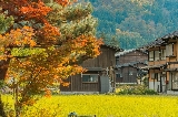 超全日本都道府縣的紅葉絕景地大盤點(中部地區)