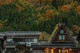 超全日本都道府縣的紅葉絕景地大盤點(四國地區)