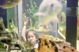 芭堤雅親子遊必打卡！怪物水族館：摸萌寵、探海底、學知識，遛娃超治愈