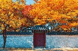 2025首爾賞楓免簽!韓國賞楓季節、10個首爾市區、近郊賞楓景點推薦