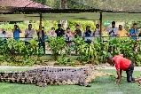 蘭卡威鱷魚公園親子遊+避坑攻略｜趣味科普與避坑指南，帶娃玩轉鱷魚世界！