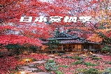 日本秋日賞楓秘境：比叡山延歷寺與教林坊的紅葉禪意之旅