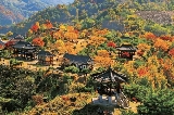 2025最新韓國忠清北道及大田必去賞楓景點(含地圖、交通、觀賞時間、遊玩攻略等)