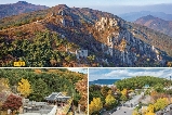 2025最新韓國釜山必去紅楓地（含景點、地圖、交通、觀光巴士時間、紅楓時間預測）